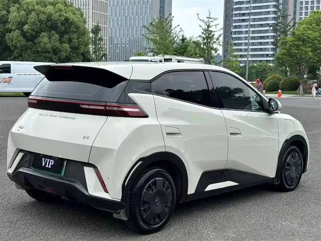 BYD Seagull 2024 Glory Edition 305km Freedom Edition фото 9