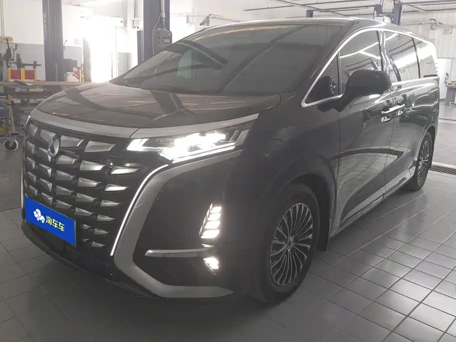 Denza D9 2024 DM-i 980 AWD Premium