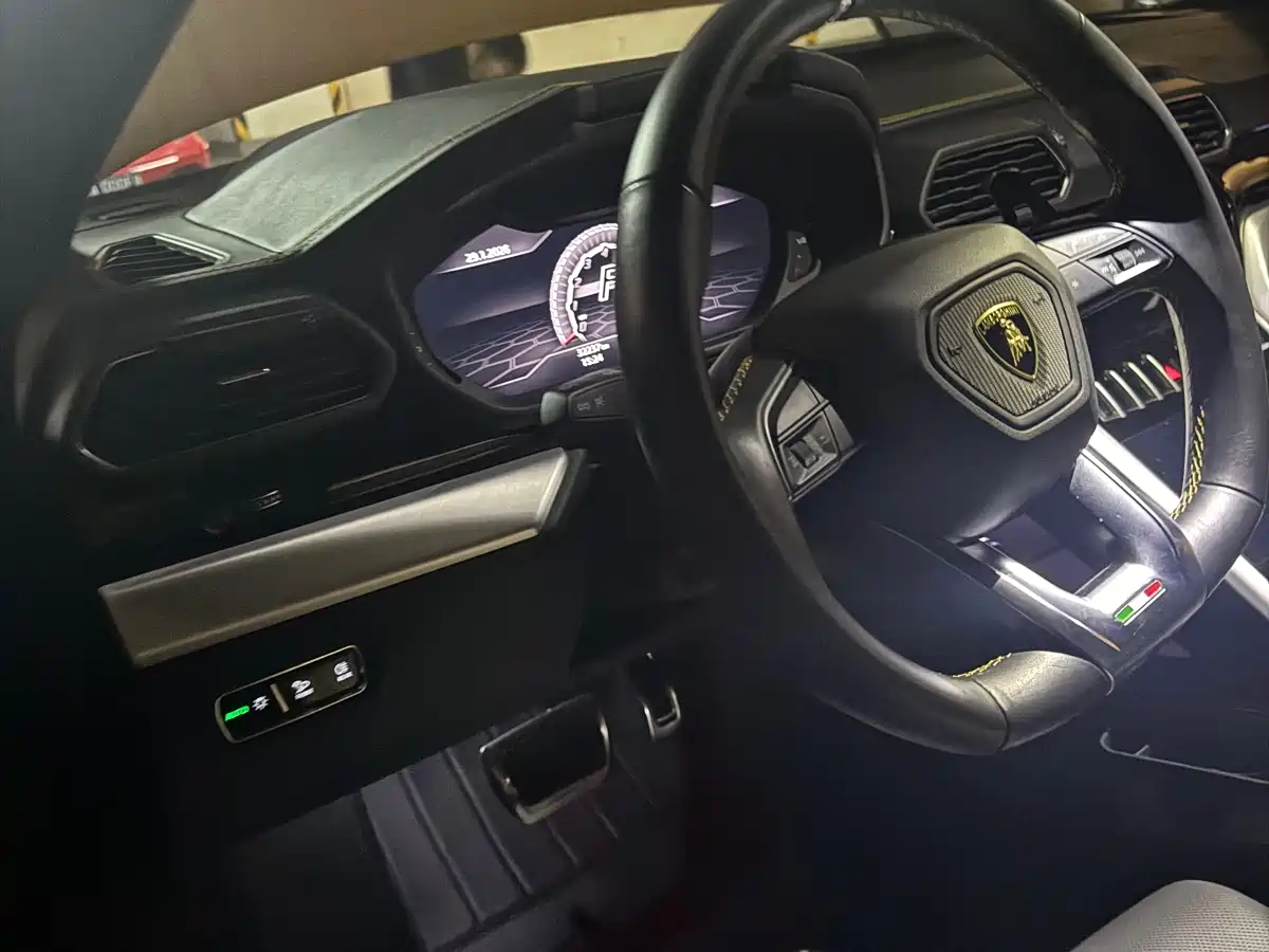 Lamborghini Urus 2021 4.0T V8 фото 6