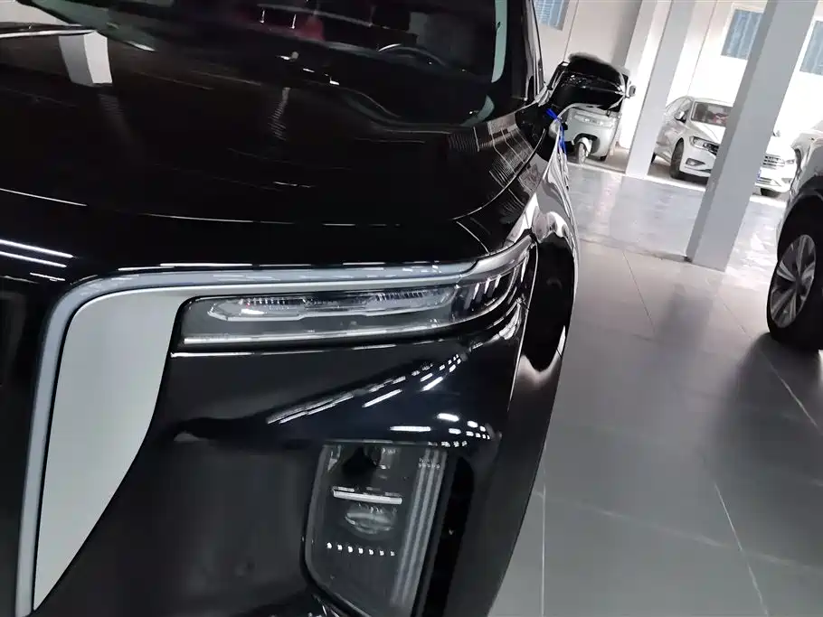 Hongqi E-HS9 2022 660km Qi Chang Edition (6-seater) фото 5