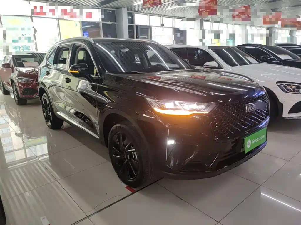 Haval H6 2021 3rd Generation 2.0T Auto AWD Max фото 20