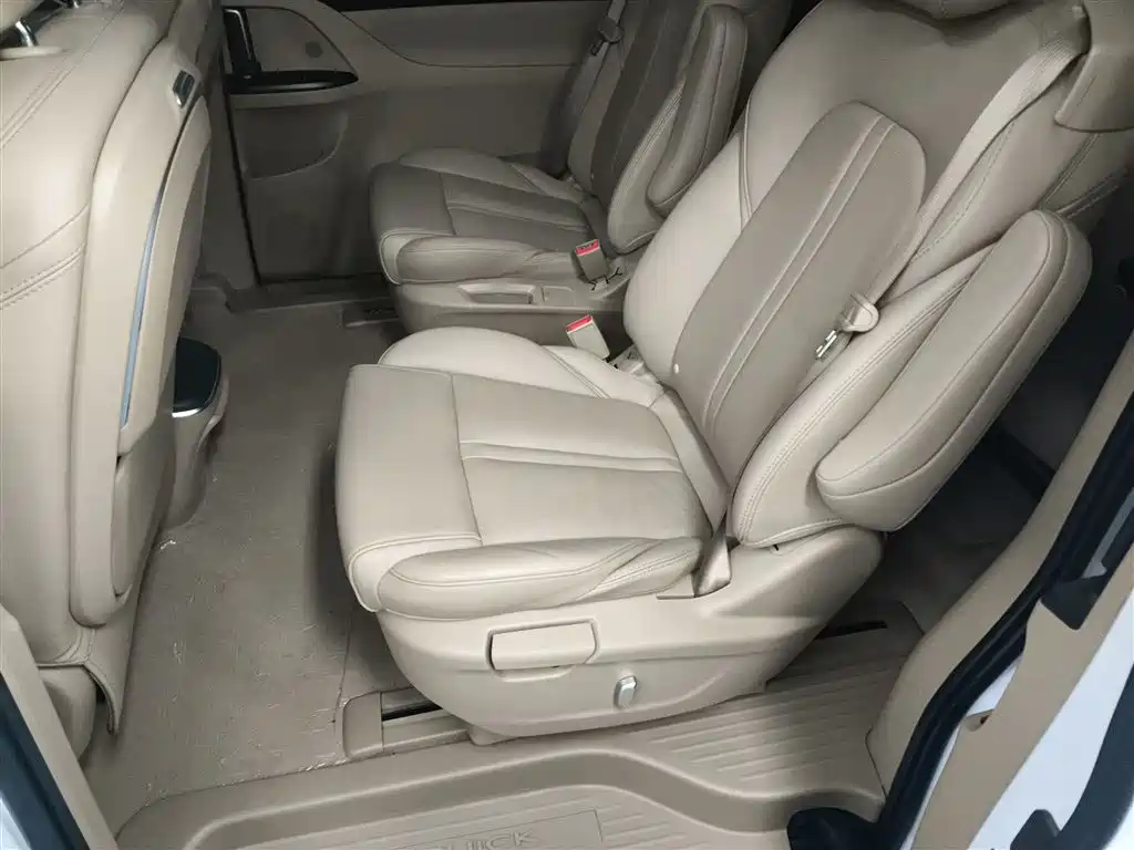 Buick GL8 2021 ES Landlord 653T Premium фото 13