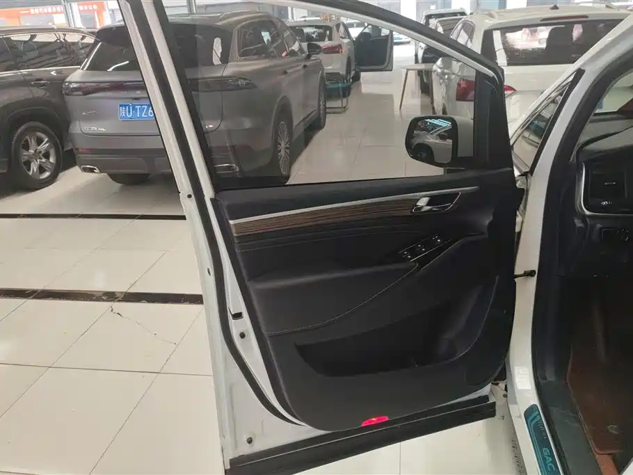 GAC Trumpchi Trumpchi M8 2021 Leading Show Series 390T Premium Edition фото 7