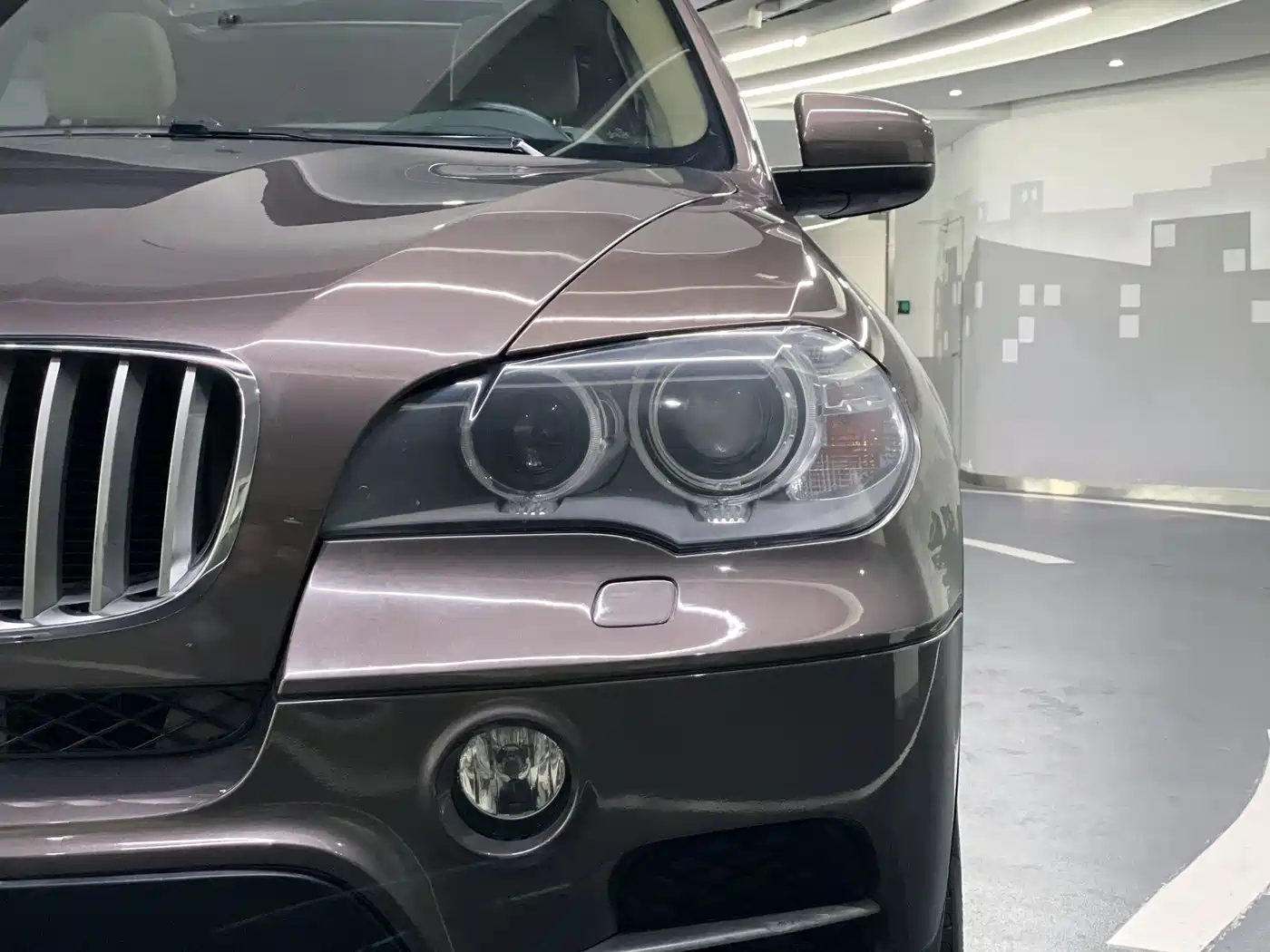 BMW X5 (Import) 2013 xDrive35i Luxury фото 8