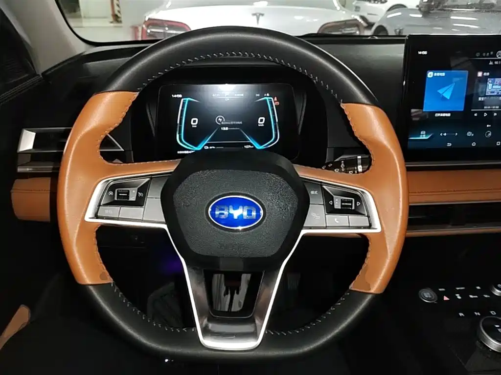 BYD e2 2021 Luxury Edition фото 11