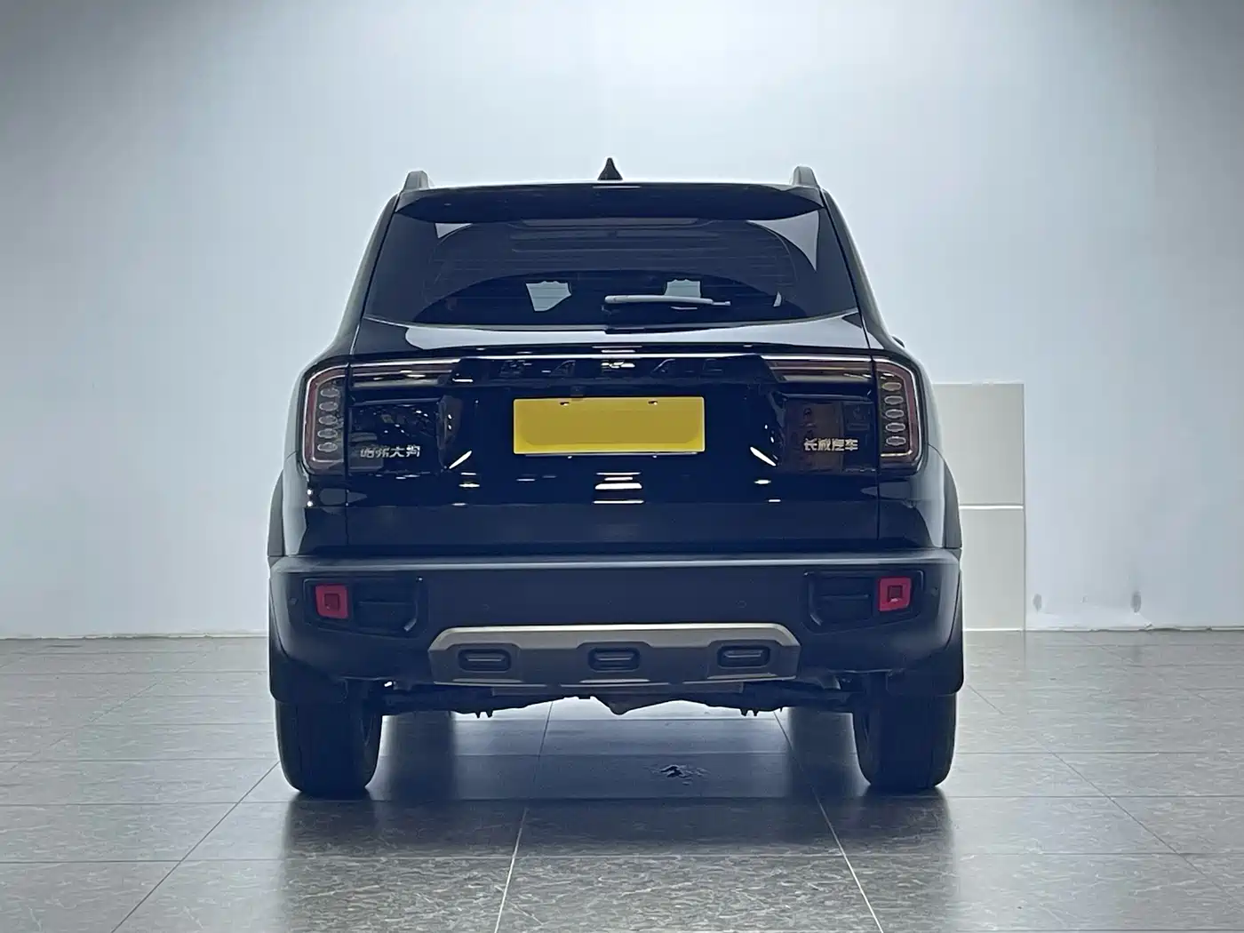 Haval Big Dog 2022 1.5T DCT FWD Border Collie Edition фото 4
