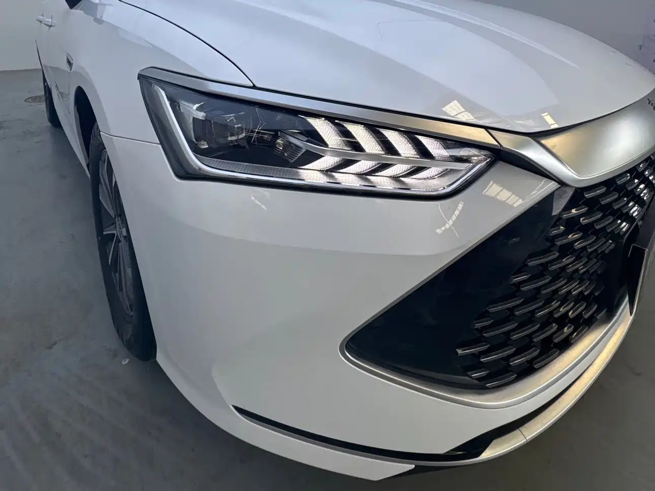 BYD Qin PLUS 2024 Glory Edition DM-i 55KM Leading фото 17