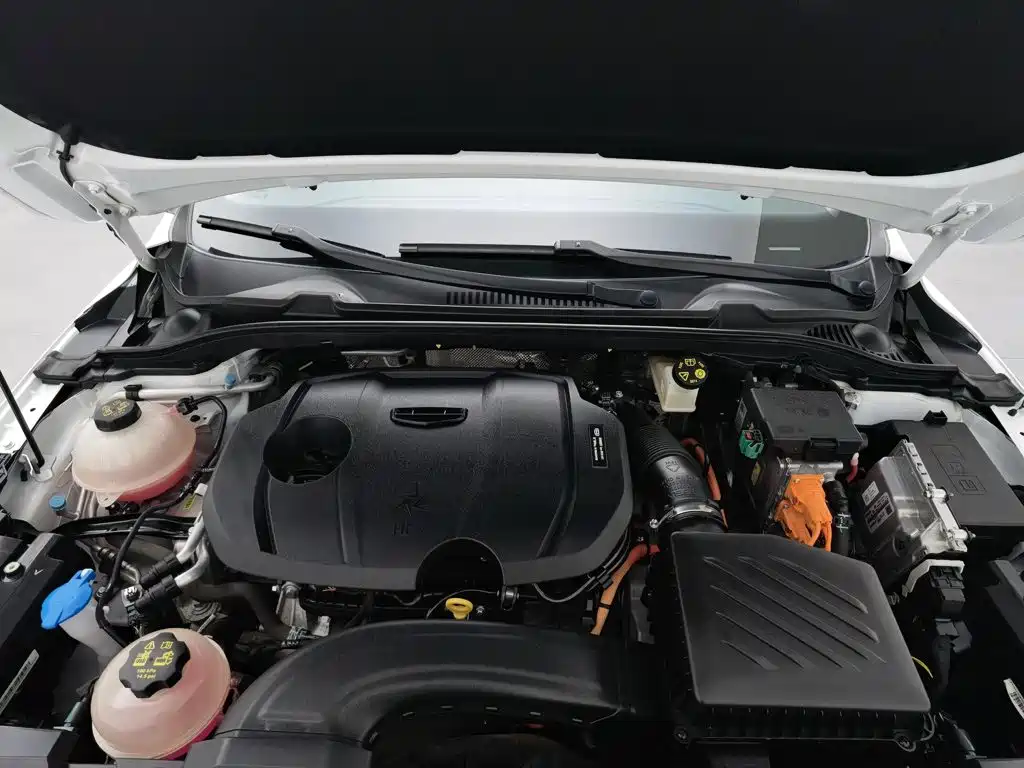 Geely Emgrand L HiP 2024 2024 Model Champion Edition 1.5TD-DHT Pro 100KM Surpassing Type
