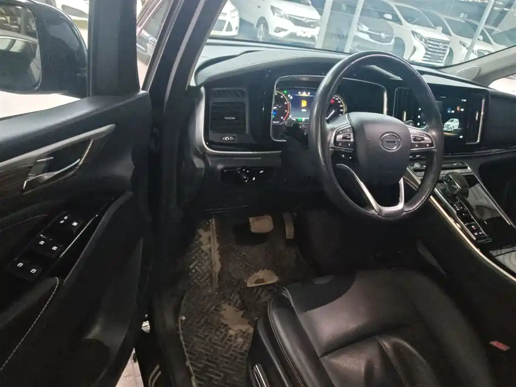 GAC Trumpchi Trumpchi M8 2023 Leading Series 390T Premium Edition фото 12
