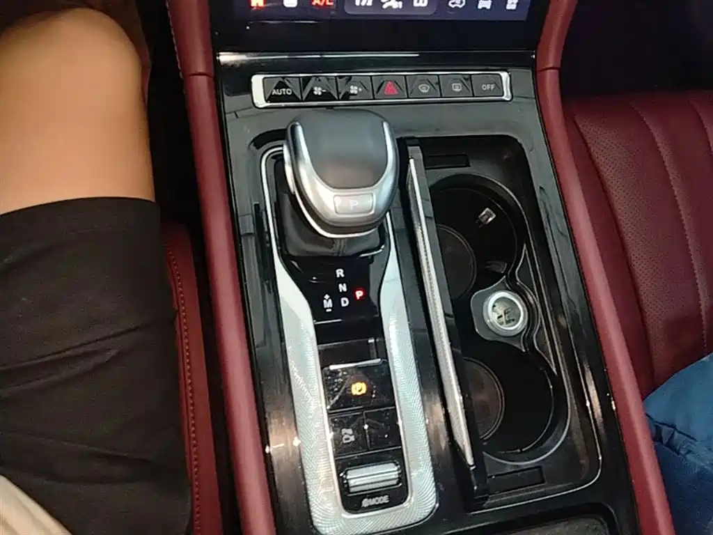 Hongqi H5 2024 2.0T Automatic Smart Connect Flag Smooth Edition фото 14