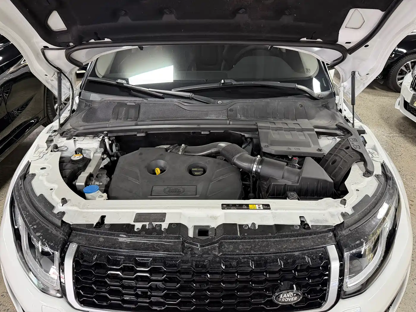 Land Rover Range Rover Evoque 2016 2.0T PURE Style фото 18