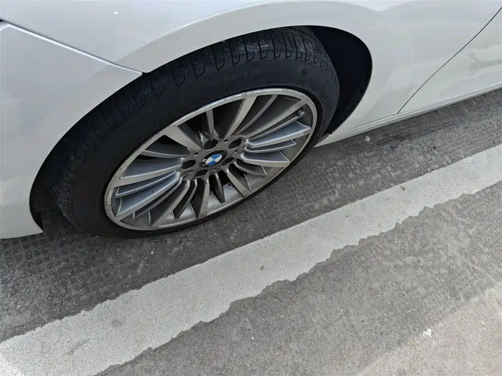 BMW 3 Series 2019 320Li Fashion Type фото 25
