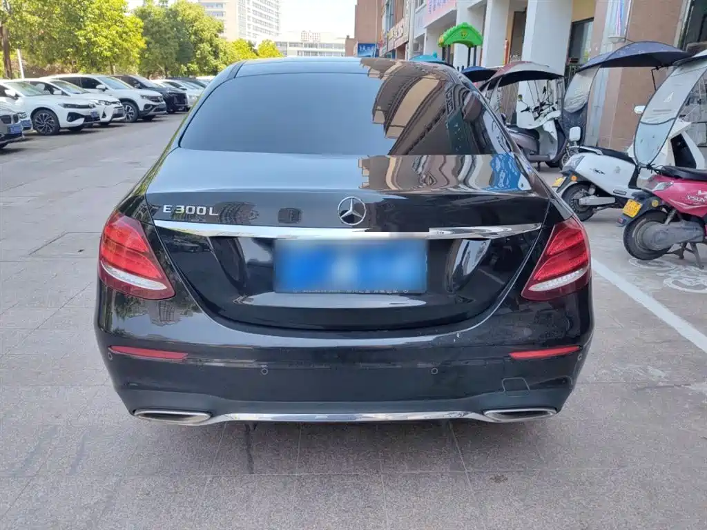 Mercedes-Benz E-Class 2020 E 300 L Sport Luxury Model фото 8
