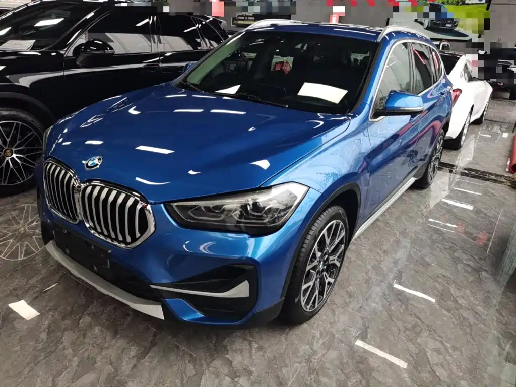 BMW X1 2020 xDrive25Li Premium Edition фото 2