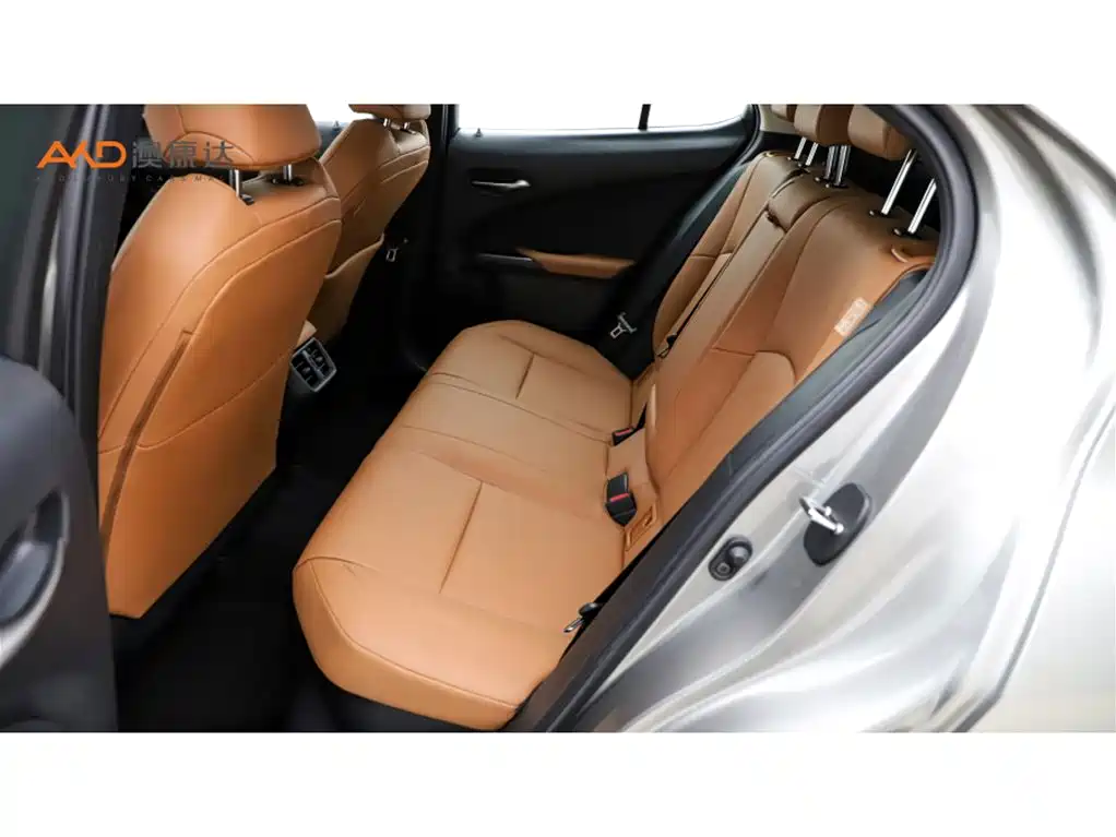 Lexus UX 2020 260h Explore Fun Edition фото 7