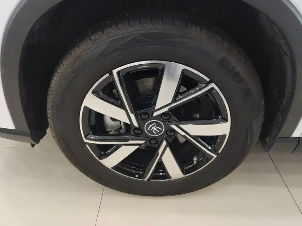 BYD Song Pro New Energy 2025 2024 Glory Edition DM-i 71KM Pilot