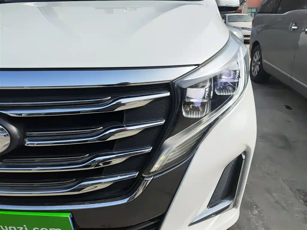 GAC Trumpchi Trumpchi M8 2020 Pilot 390T Premium Edition фото 23