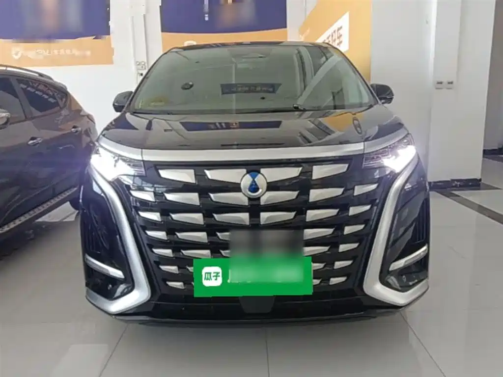 Denza D9 2022 DM-i 970 All-Wheel Drive Honor Edition фото 3