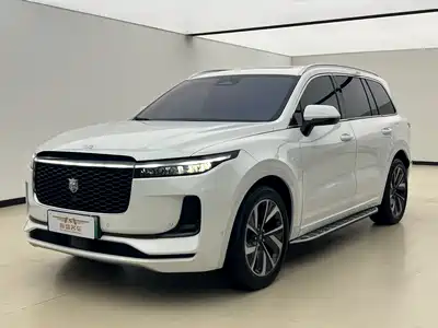 Li Auto ONE