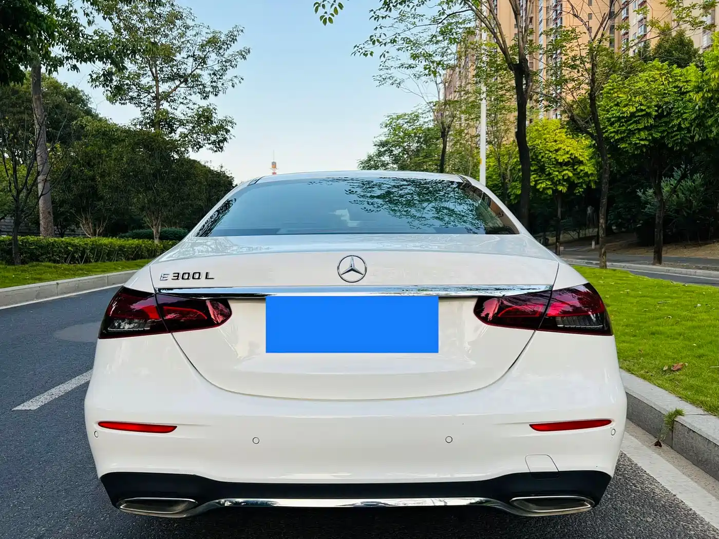 Mercedes-Benz E-Class 2021 E 300 L Sport Fashion фото 6
