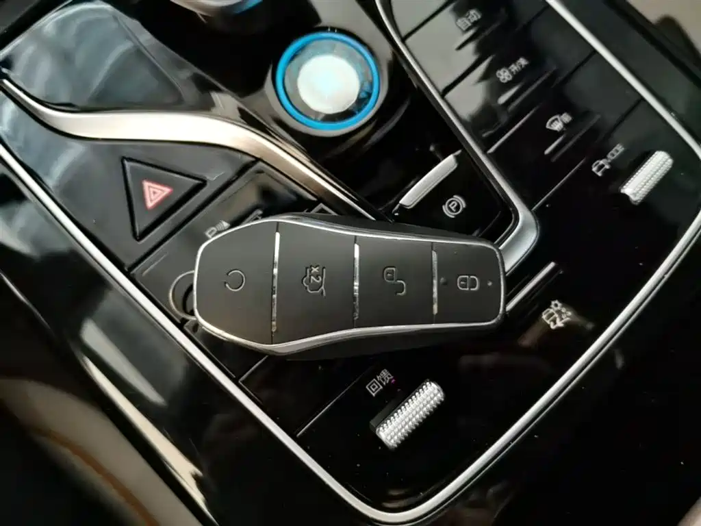 BYD Qin PLUS 2024 Glory Edition EV 420KM Surpass фото 9