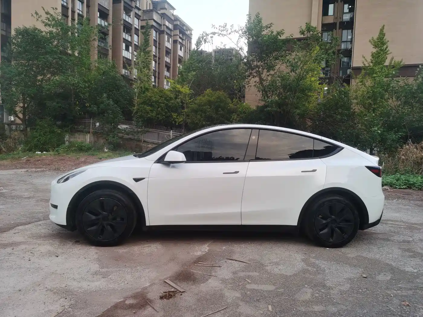 Фото 4 - Tesla Model Y