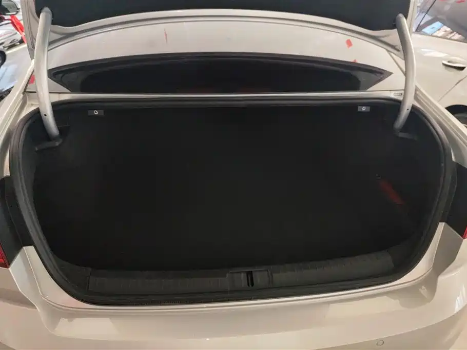 Volkswagen Magotan 2018 Facelift 330TSI DSG Luxury фото 4