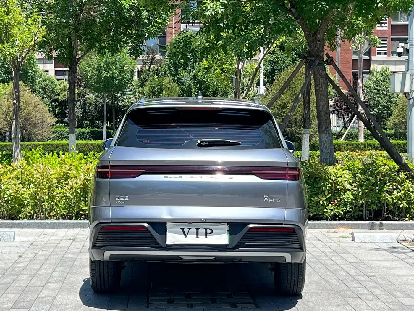 BYD Song Pro New Energy 2024 Glory Edition DM-i 71KM Pilot фото 5