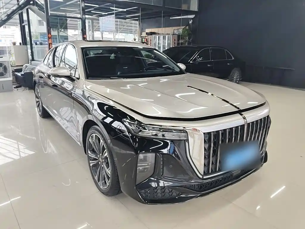 Hongqi H9 2025 2024 2.0T Qi Enjoy Private Fashion Edition