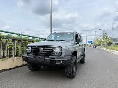Tank 300