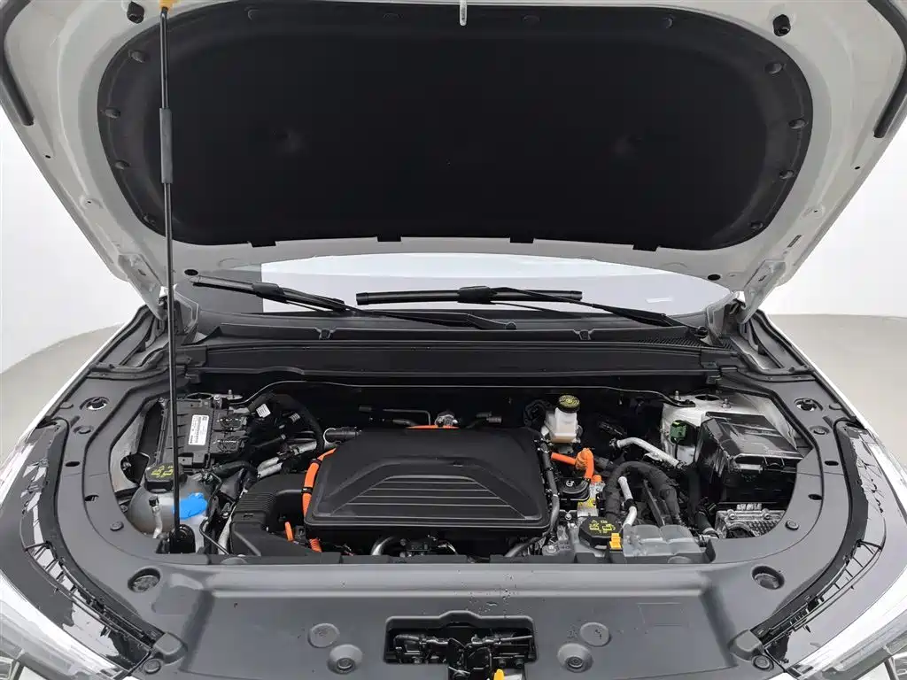 Haval Xiaolong 2023 1.5L 110KM Pilot Edition фото 6