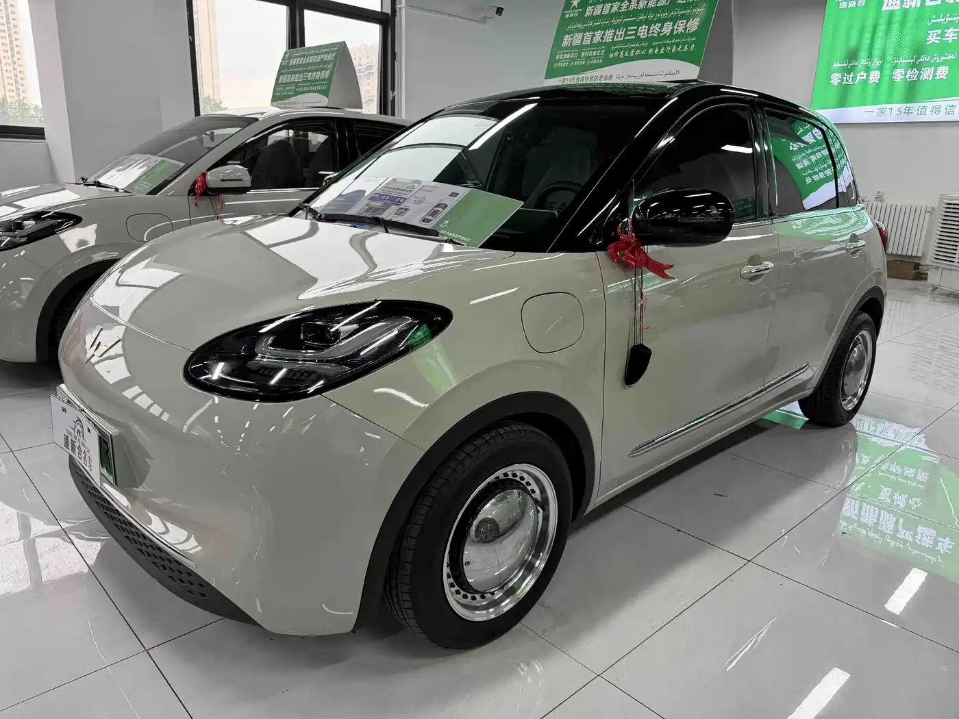 Wuling Motors Wuling Bingo 2023 333km Joyful Version