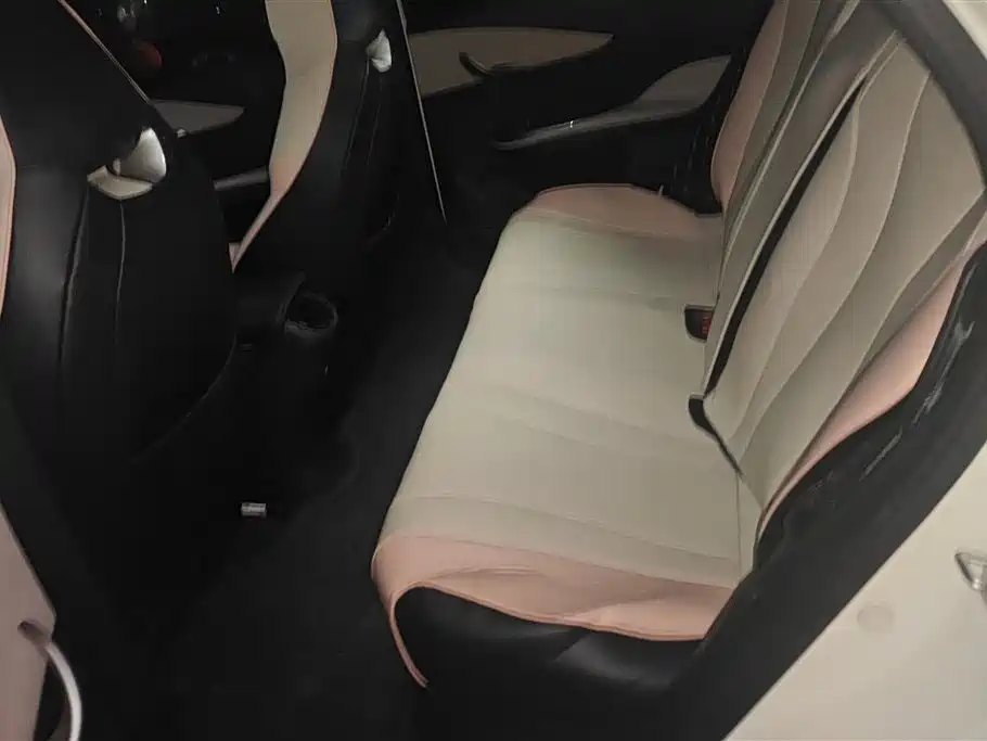 BYD Dolphin 2023 420km Fashion Edition фото 11