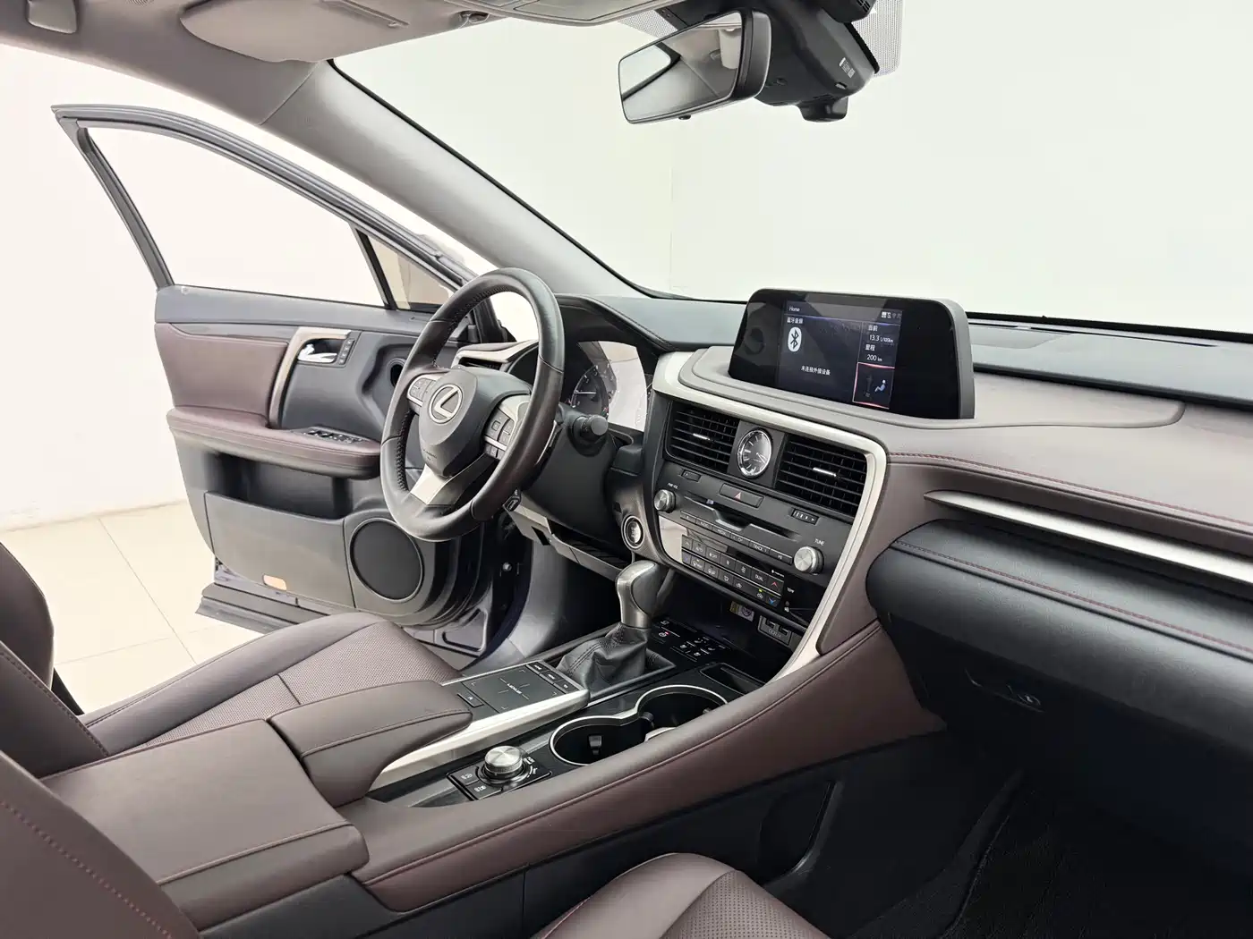Lexus RX 2020 300 4WD Elegance Edition China VI фото 10