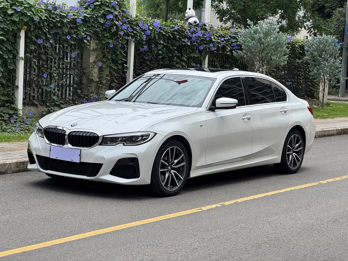 BMW 3 Series 2020 325Li M Sport Package