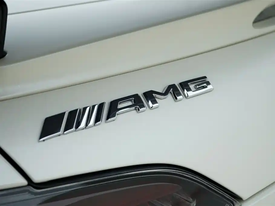 Mercedes-Benz AMG GT 2019 AMG GT R PRO фото 14