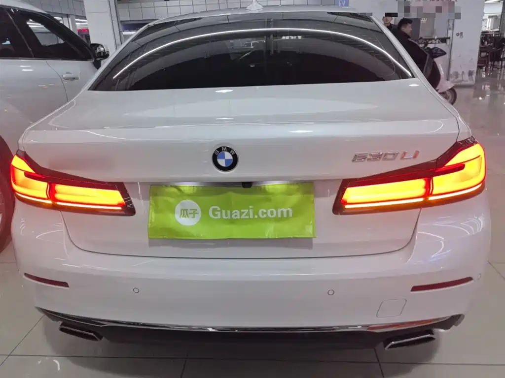 BMW 5 Series 2021 530Li Leading Luxury Package фото 6