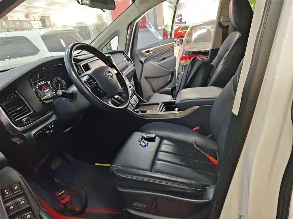 GAC Trumpchi Trumpchi M8 2020 Pilot 390T Premium Edition фото 11