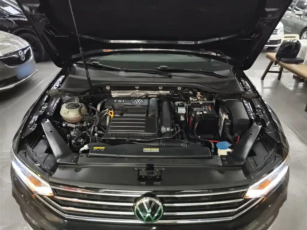 Volkswagen Magotan 2020 280TSI DSG Comfort фото 17