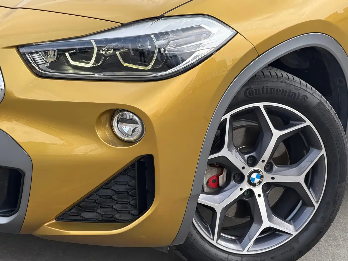 BMW X2 (Import) 2019 sDrive20i M Off-Road Package China VI фото 9
