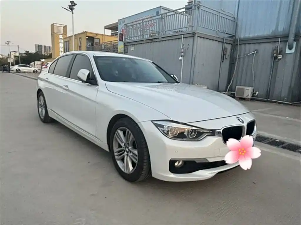 BMW 3 Series 2017 320Li Fashion фото 6
