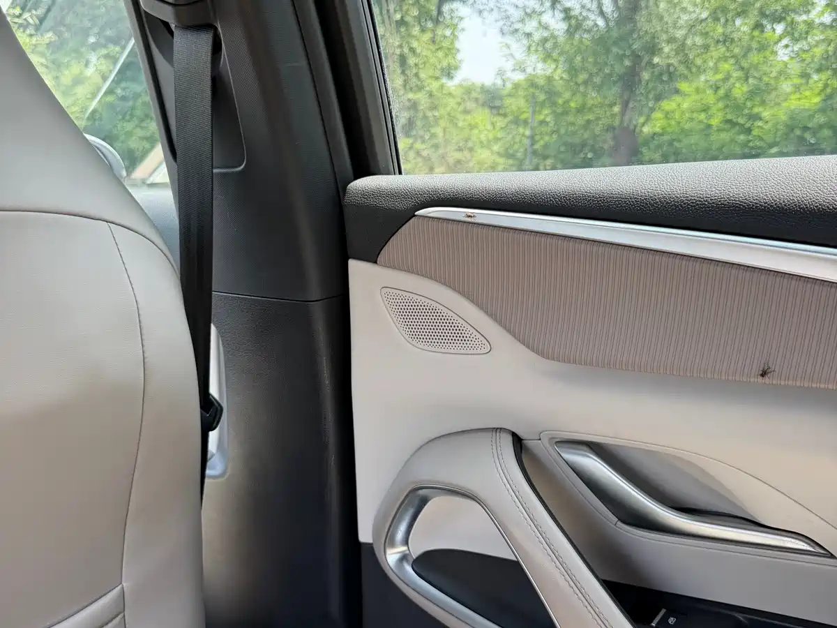 BYD Song Pro New Energy 2024 Glory Edition DM-i 110KM Excellence фото 16