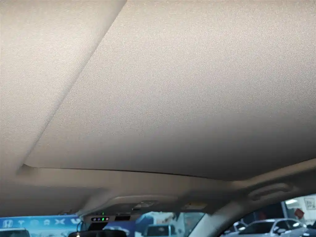 Buick Envision Plus 2019 20T FWD Luxury Model China VI фото 18