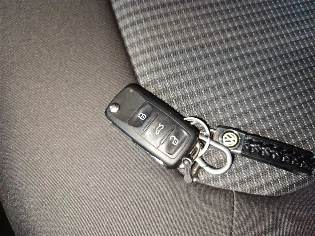 Volkswagen Santana 2019 1.5L Auto Trend Edition China VI фото 17