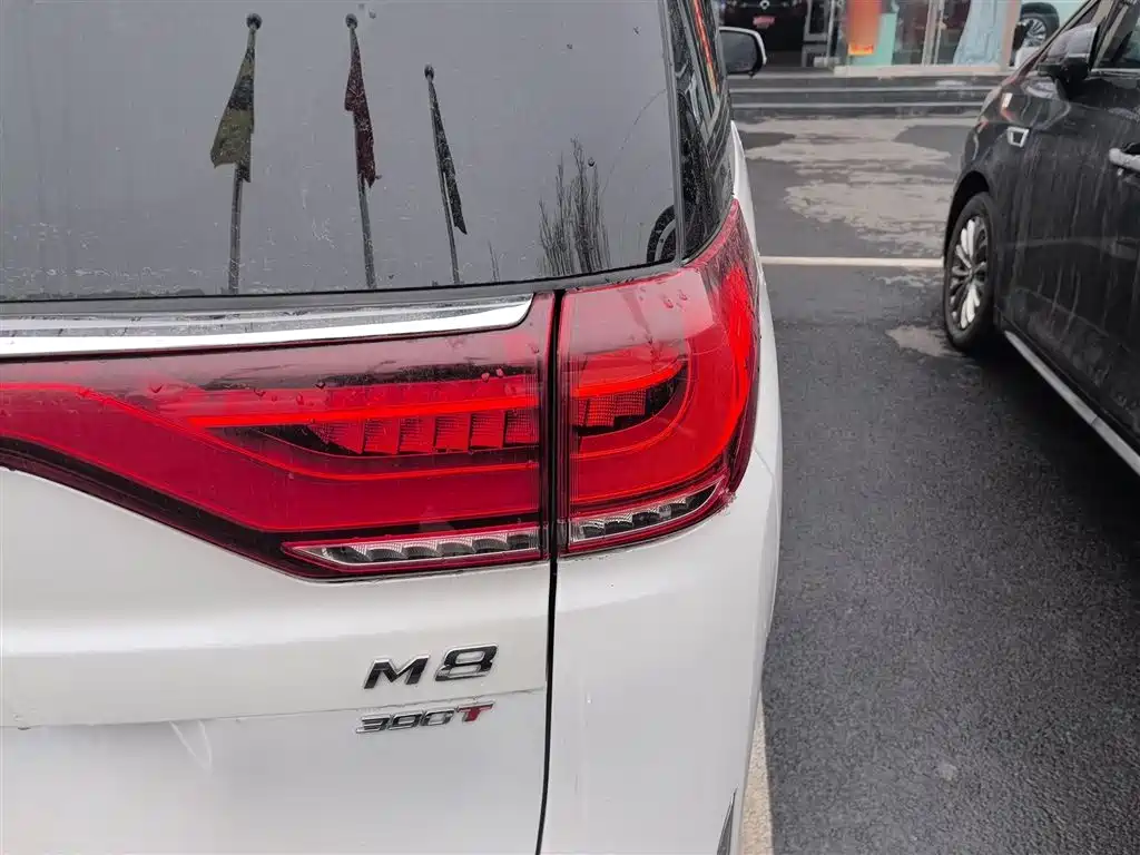 GAC Trumpchi Trumpchi M8 2023 Leading Series 390T Prestige Edition фото 24