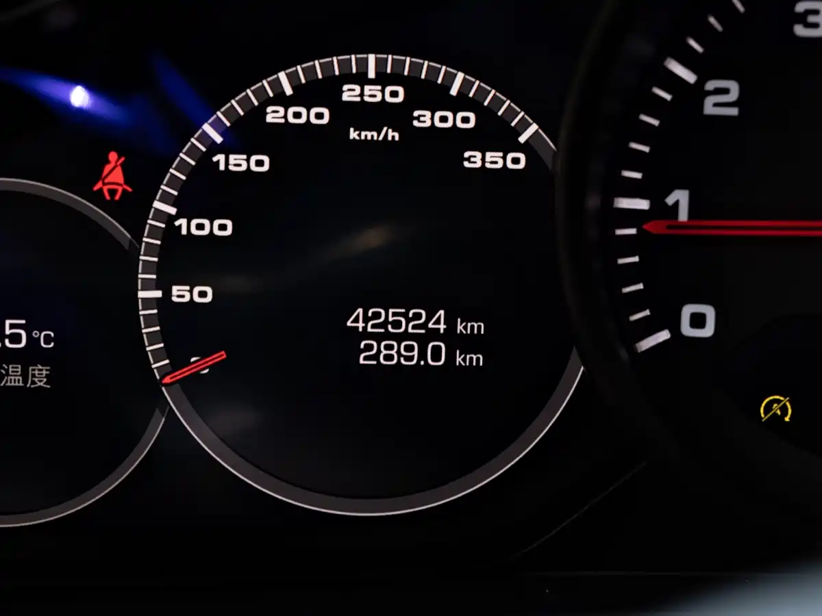 Porsche Panamera 2019 Panamera 2.9T фото 7