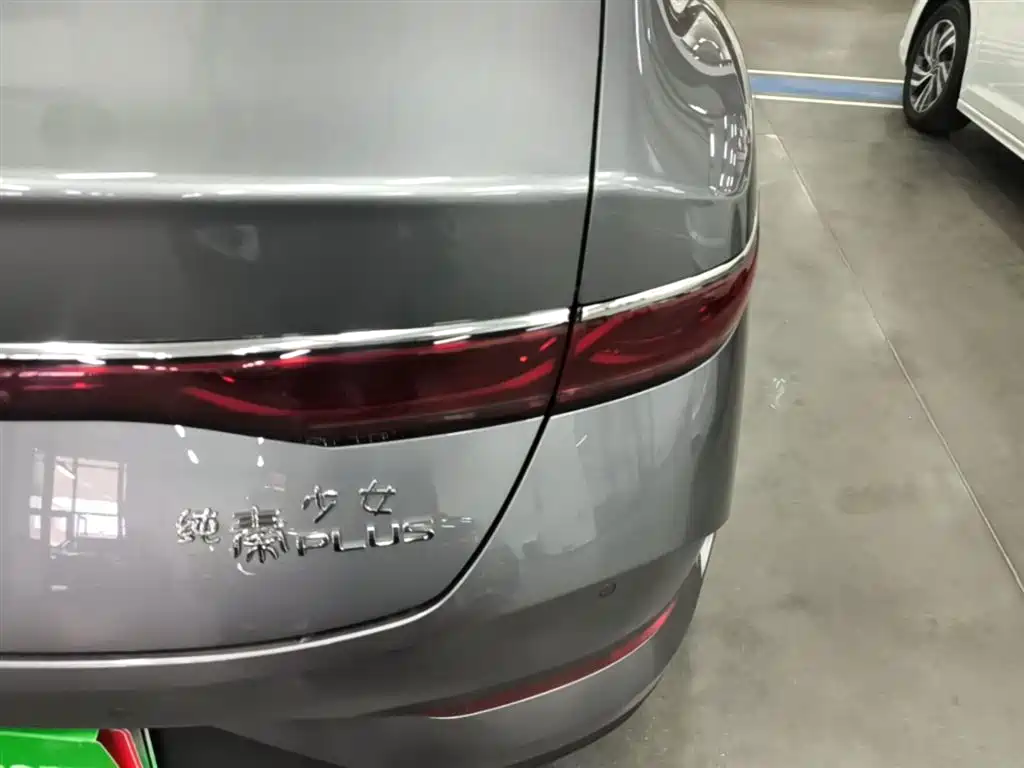 BYD Qin PLUS 2025 DM-i Smart Drive 55KM Leader фото 8