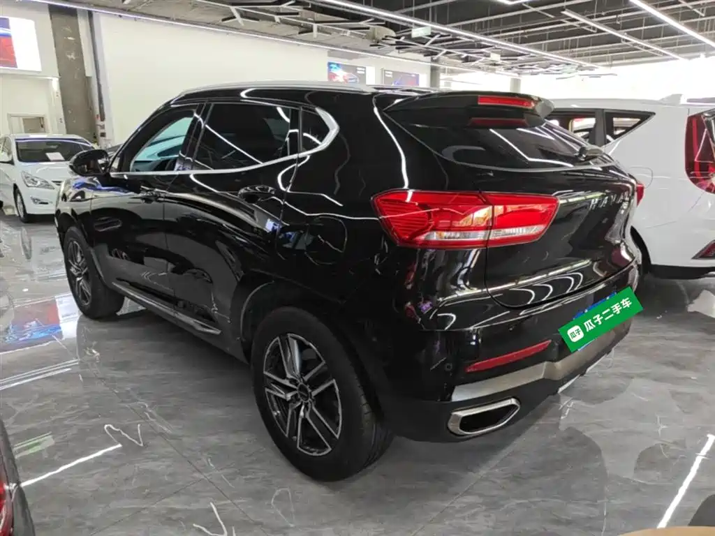 Haval F5 2019 National Trend Edition 1.5T iStyle China VI фото 5