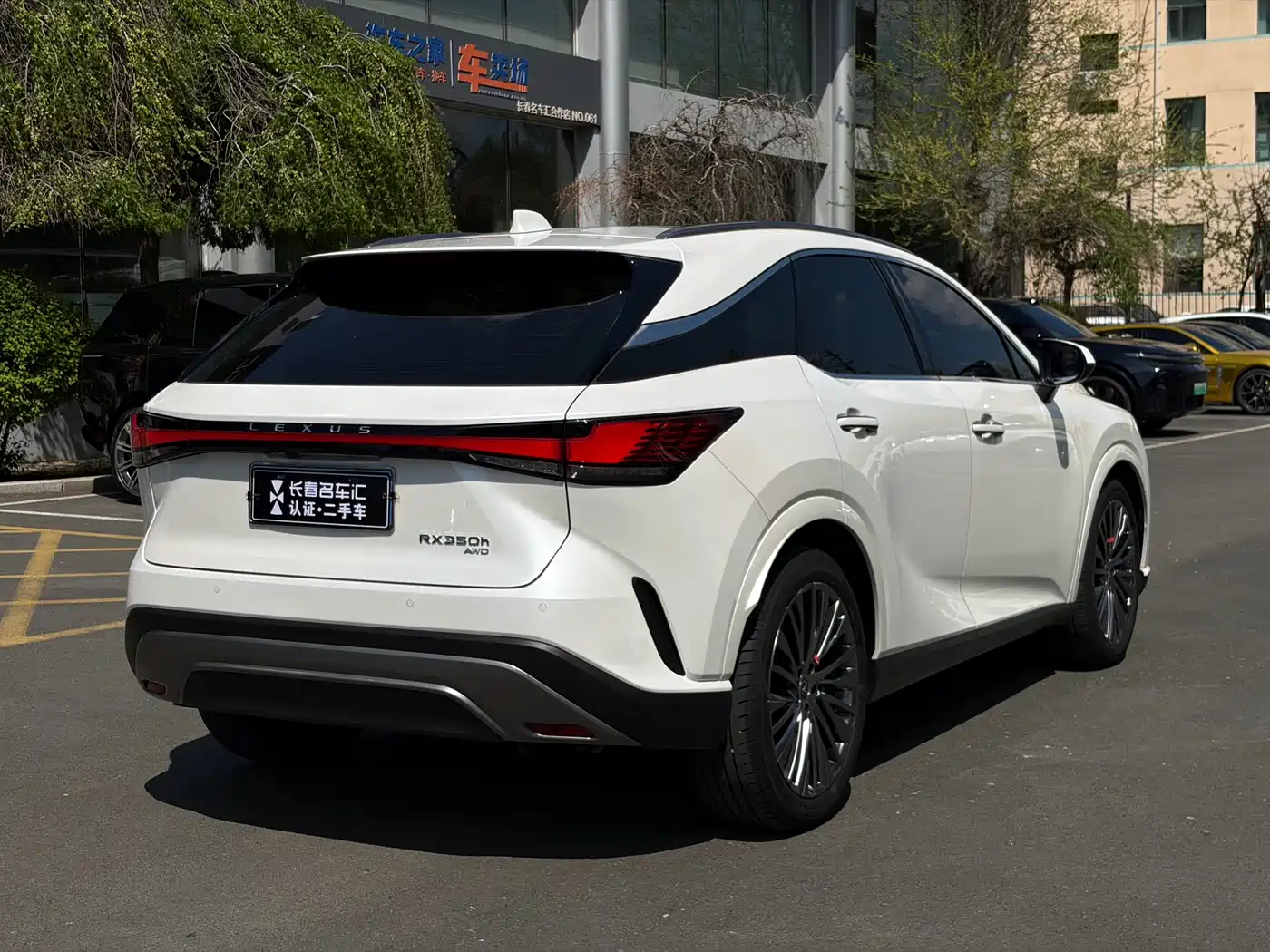 Lexus RX 2023 350h 4WD Pure Edition фото 19