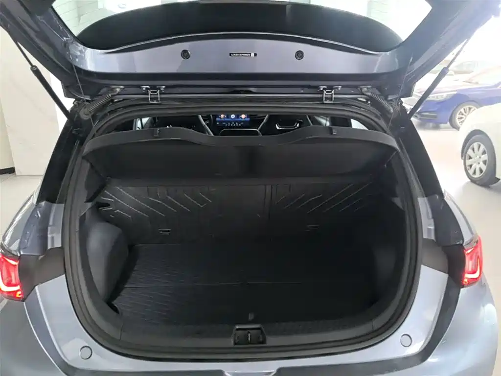 BYD Dolphin 2023 401km Knight Edition фото 15